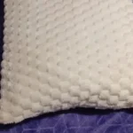 Cozy Cream Pineapple Turtle Plush Pillowcase for Home Decor photo review