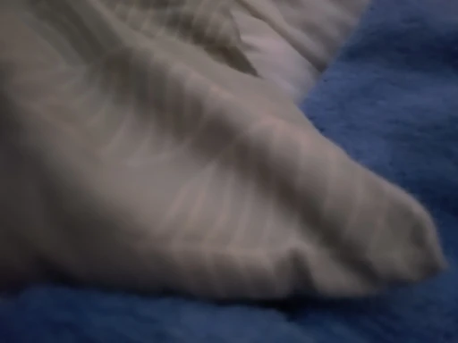 Four Seasons Universal Sofa Cushion Cover High Elastic Pet Anti Dirt Waterproof Sofa Cover photo review