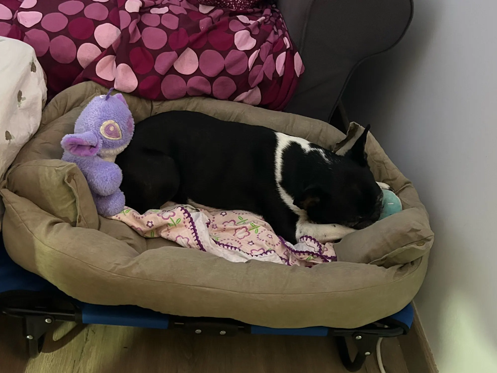 Multifunction Dog Bed Mat 3 IN 1 Dogs Cat Sleeping Bed Sofa Warm Winter Puppy Kitten Nest Kennel Soft Pet Cushion For Dogs Cats photo review