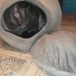 Cozy Cotton Cat Cave: Ultimate Winter Pet Bed Retreat photo review