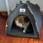 Versatile Foldable Cat Tent: Cool & Cozy All-Season Haven photo review