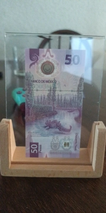 Stylish U-Shape Acrylic Photo Frame for Cherished Memories photo review