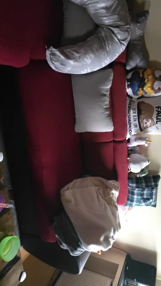 Luxurious Stretch Sofa Cover – Ultimate Living Room Protection photo review