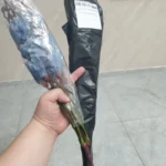 Vibrant 20-Head Artificial Magnolia Bouquet for Timeless Elegance photo review