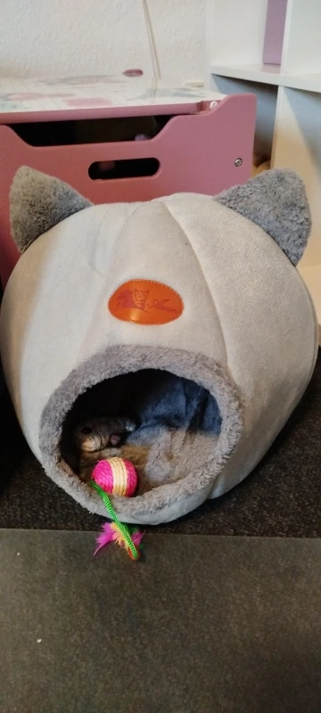 Cozy Cotton Cat Cave: Ultimate Winter Pet Bed Retreat photo review