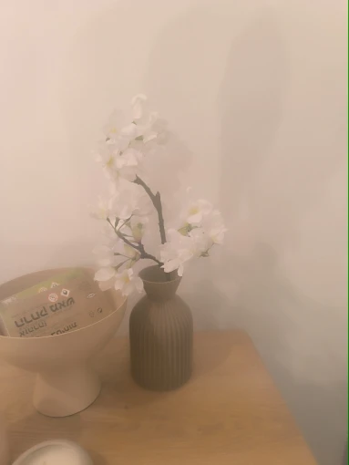 Modern Black Plastic Vase - Chic Boho Decor for Every Room photo review