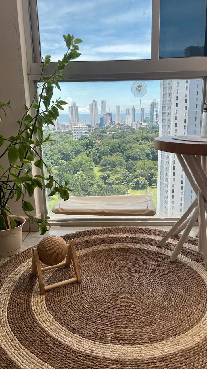 Sunny Cat Hammock Bed - Cozy Aerial Window Nest for Cats photo review