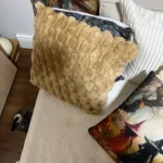 Cozy Cream Pineapple Turtle Plush Pillowcase for Home Decor photo review