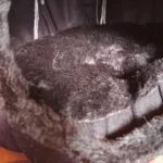 Cozy Cotton Cat Cave: Ultimate Winter Pet Bed Retreat photo review