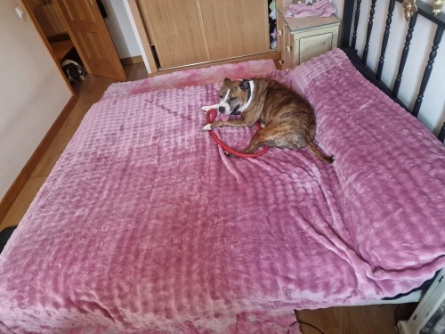 Plush White Striped Faux Rabbit Fur Throw Blanket for Cozy Comfort photo review