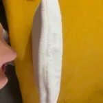 Plush Faux Rabbit Fur Pillow Covers for Cozy Luxury Decor photo review