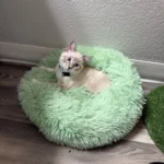 Home Plush Pet Nest Winter Cat Nest Dog Nest Warm Detachable and Washable Round Cat Nest Pet Bed Seasonal Universal Decoration photo review