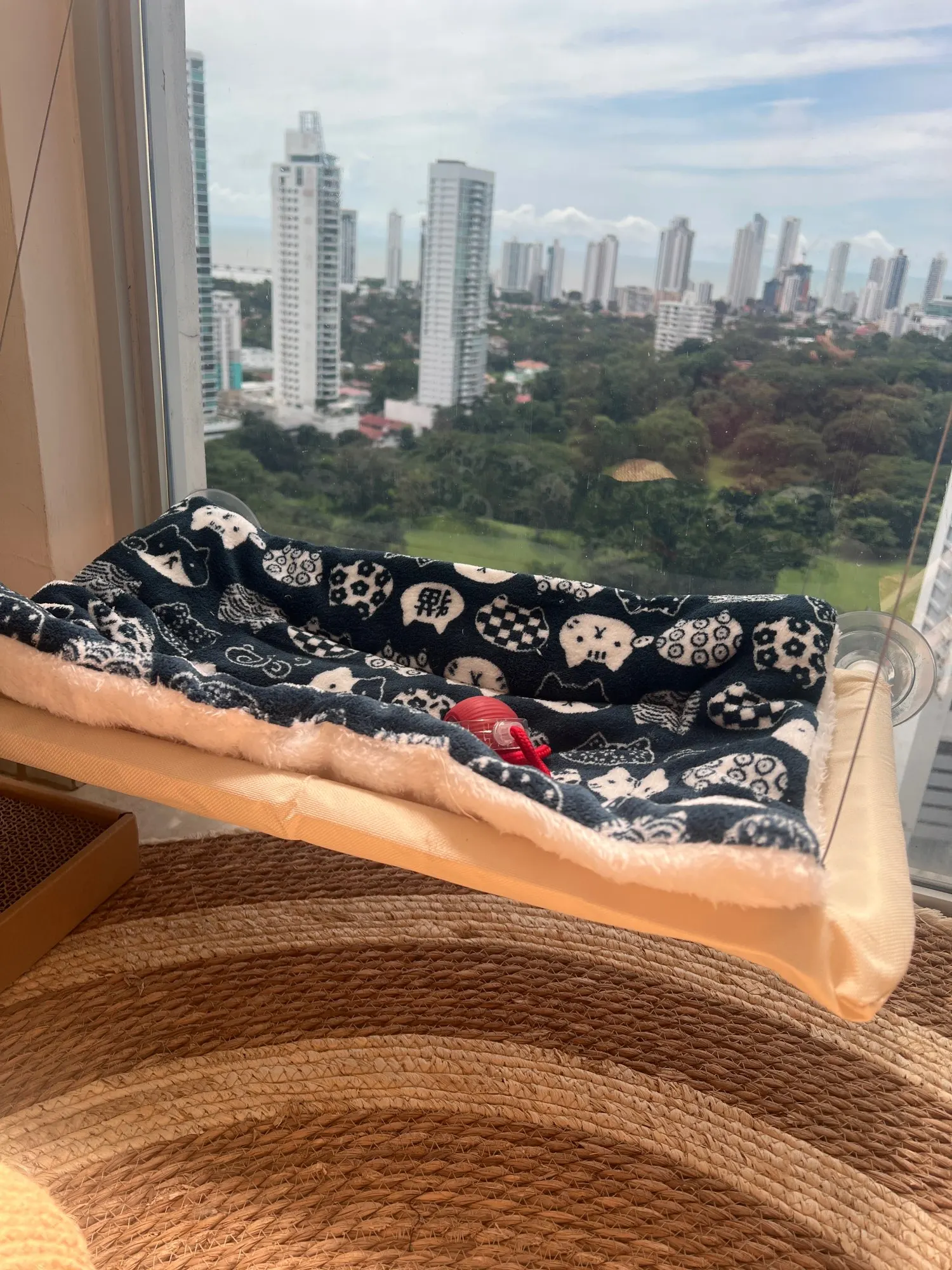 Cozy Plush Cat & Small Dog Bed Mat - Breathable & Soft photo review