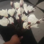 Elegant Magnolia Silk Flower Set - 5 Forks, 20 Heads for Home Decor photo review