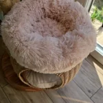 Plush Donut Cat Bed: Cozy, Washable Comfort for Pets photo review