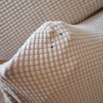 Luxurious Stretch Sofa Cover – Ultimate Living Room Protection photo review