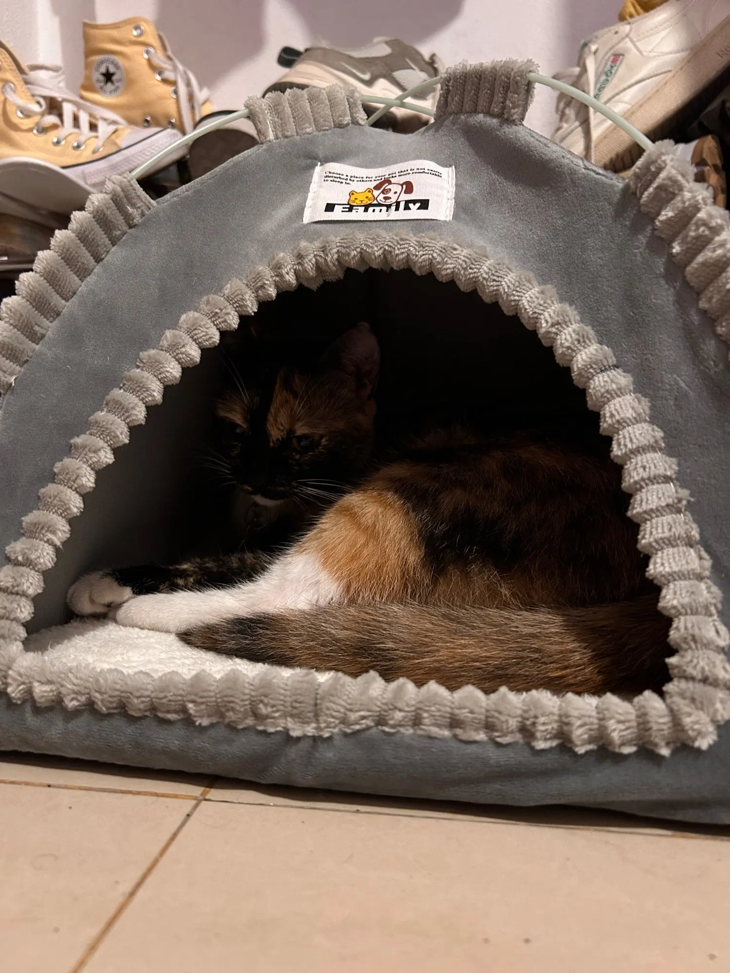 Versatile Foldable Cat Tent: Cool & Cozy All-Season Haven photo review