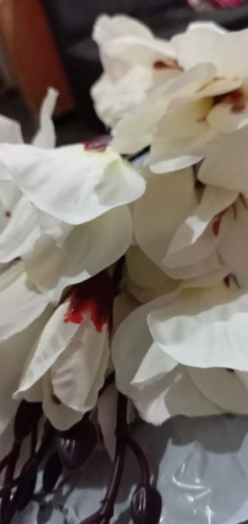 Elegant Magnolia Silk Flower Set - 5 Forks, 20 Heads for Home Decor photo review