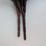 Elegant Magnolia Silk Flower Set - 5 Forks, 20 Heads for Home Decor photo review