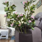 Lifelike Tropical Ficus Tree - No-Maintenance Home Decor photo review