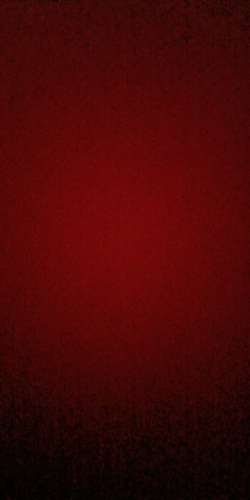 Boho Abstract Plant Canvas Prints - Modern Wall Art Trio photo review