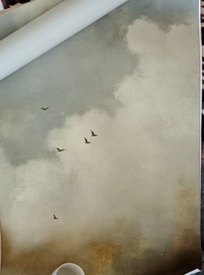 Vintage Cloud and Birds Poster Sky Landscape Canvas Painting Print Wall Art Picture for Living Room Home Decoration Mural photo review