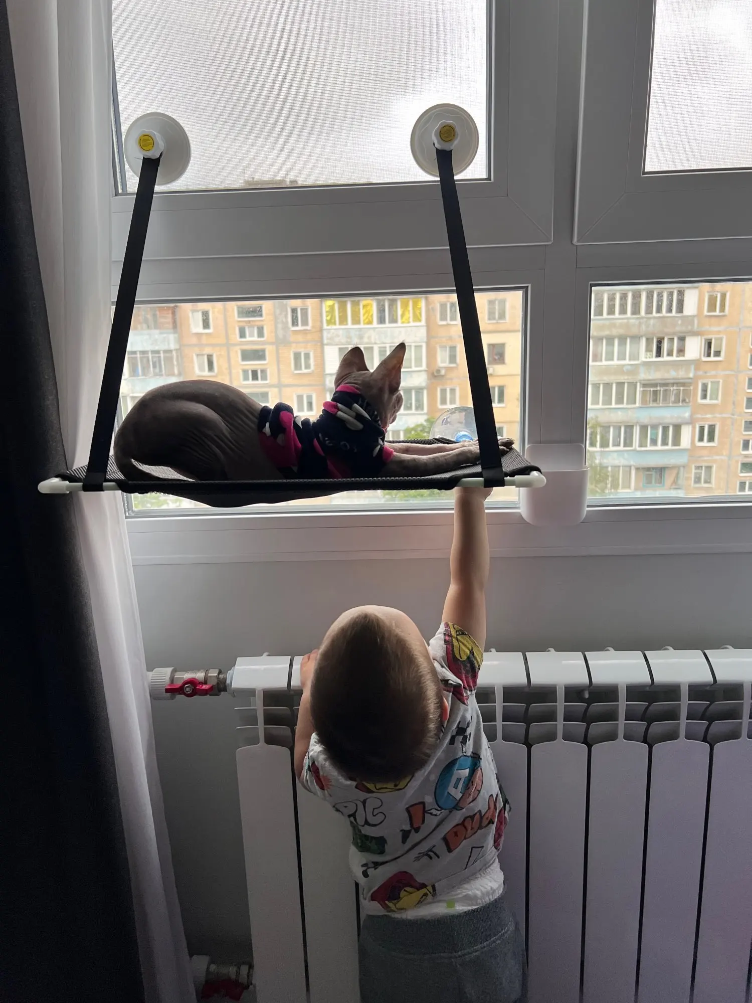 Breathable Cat Hammock with Suction Cups for Sunbathing Bliss photo review