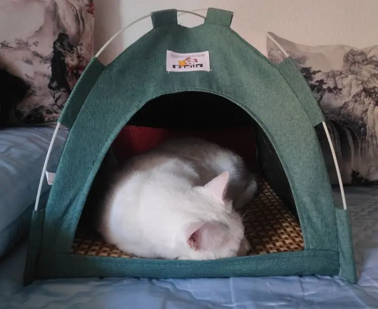 Versatile Foldable Cat Tent: Cool & Cozy All-Season Haven photo review