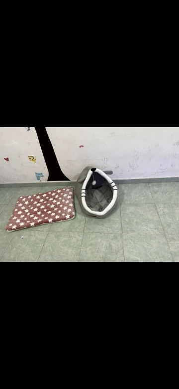 Cozy Plush Cat & Small Dog Bed Mat - Breathable & Soft photo review