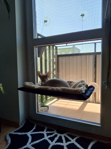 Sunny Cat Hammock Bed - Cozy Aerial Window Nest for Cats photo review