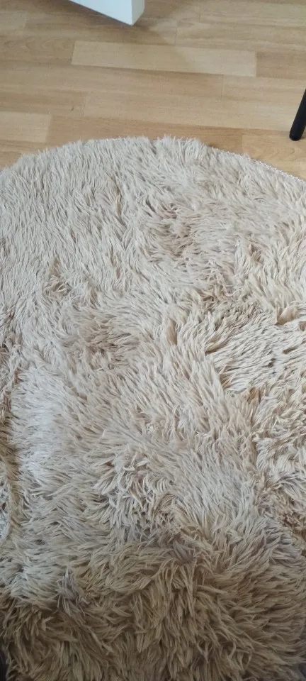 Ultra Cozy Fluffy White Round Rug for Chic Home Decor photo review