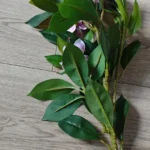 Lifelike Tropical Ficus Tree - No-Maintenance Home Decor photo review