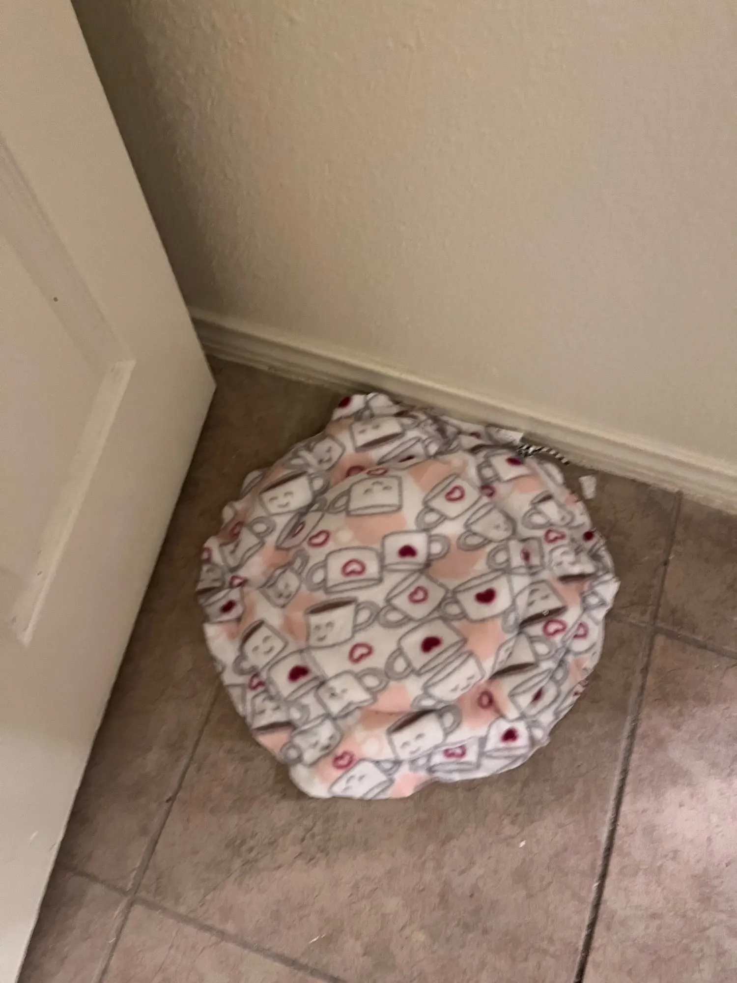 Cozy Adjustable Cotton Pet Nest Bed for Cats & Puppies photo review