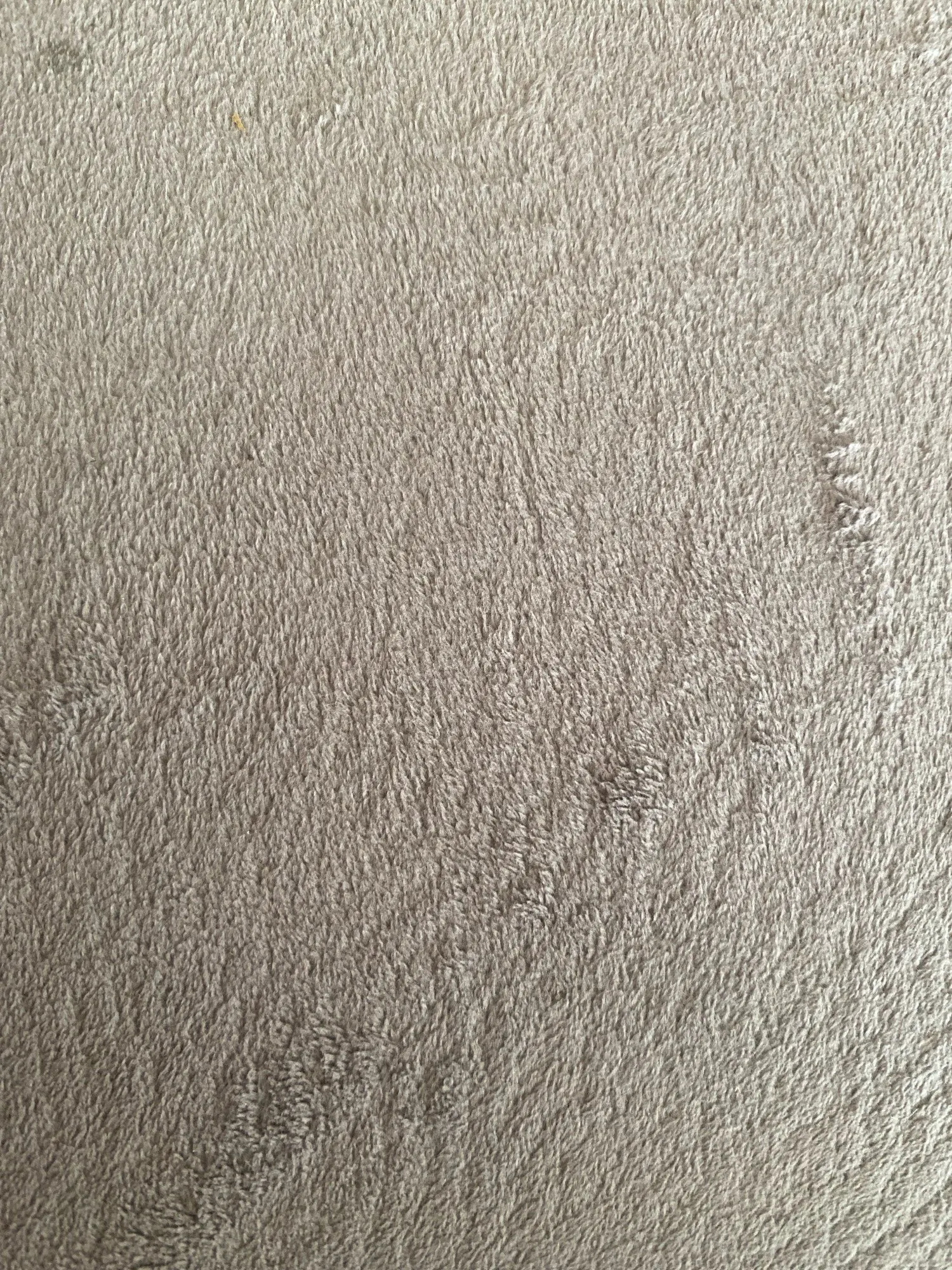 Cozy Cream Pineapple Turtle Plush Pillowcase for Home Decor photo review