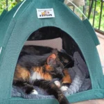 Versatile Foldable Cat Tent: Cool & Cozy All-Season Haven photo review