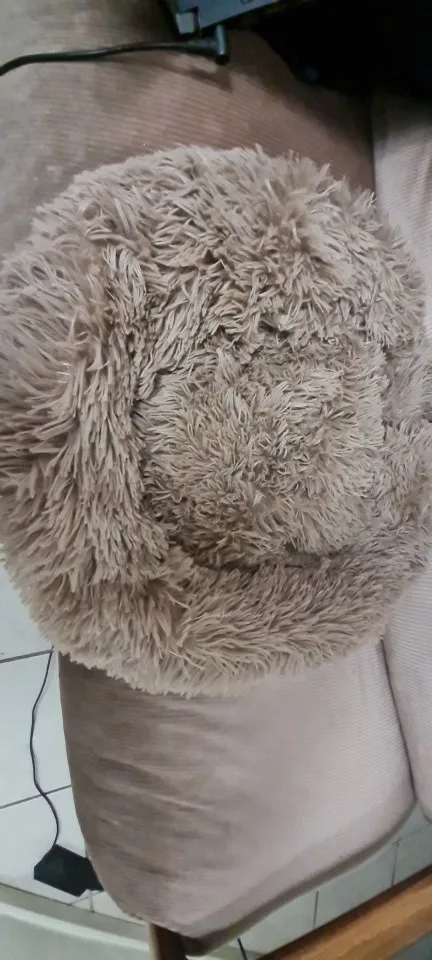 Cozy Plush Cat Bed for Ultimate Warmth & Comfort photo review