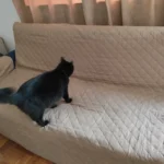 Waterproof Sofa Slipcover for Kids & Pets - Non-Slip Comfort photo review