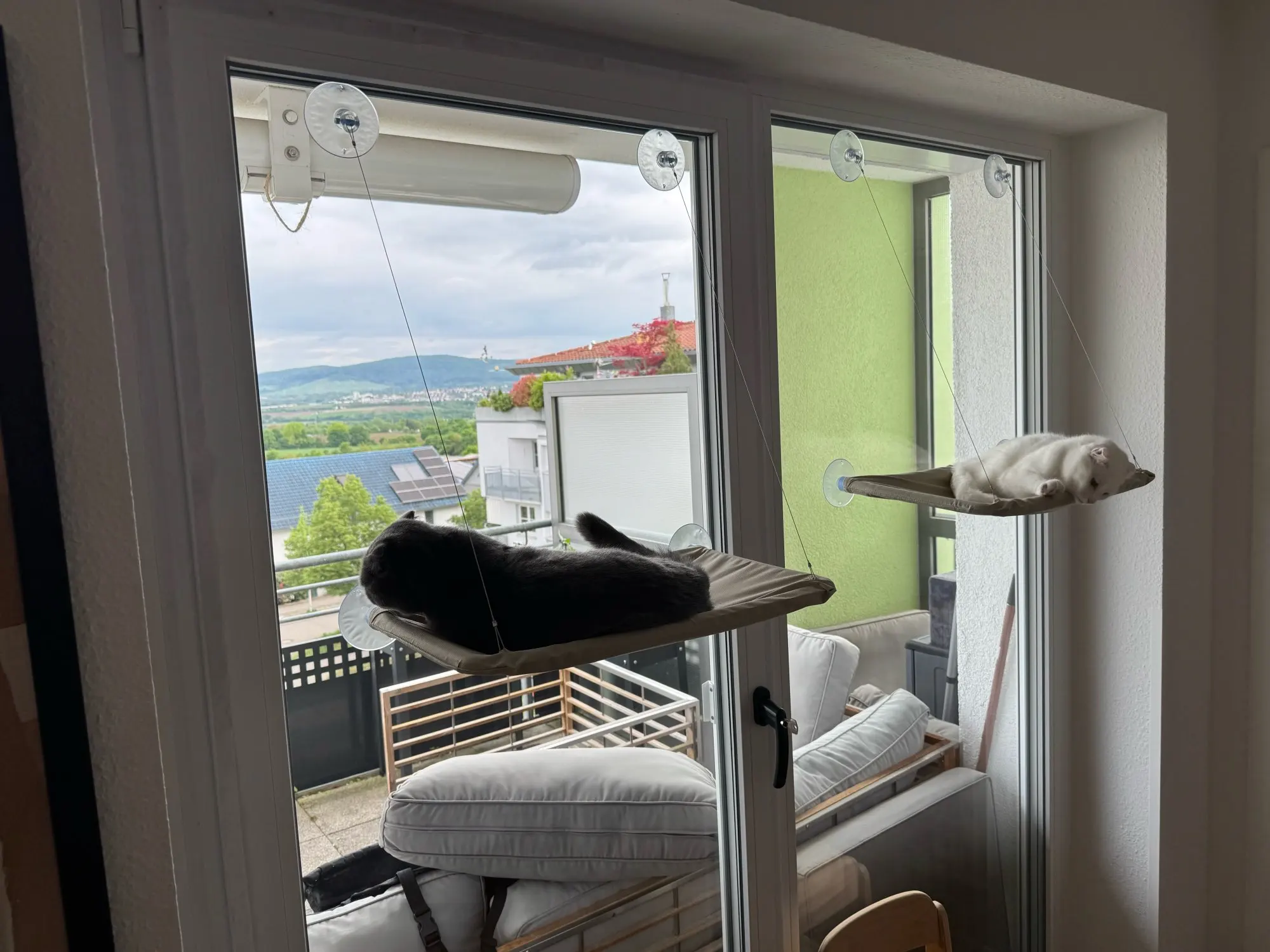 Sunny Cat Hammock Bed - Cozy Aerial Window Nest for Cats photo review