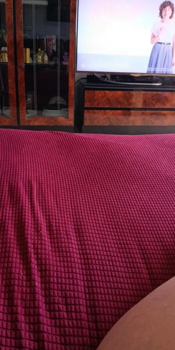 Luxurious Stretch Sofa Cover – Ultimate Living Room Protection photo review