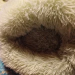 Home Plush Pet Nest Winter Cat Nest Dog Nest Warm Detachable and Washable Round Cat Nest Pet Bed Seasonal Universal Decoration photo review