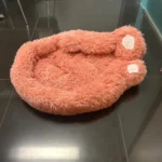 Cozy Bear Paw Pet Bed - Fluffy Comfort for All Sizes photo review