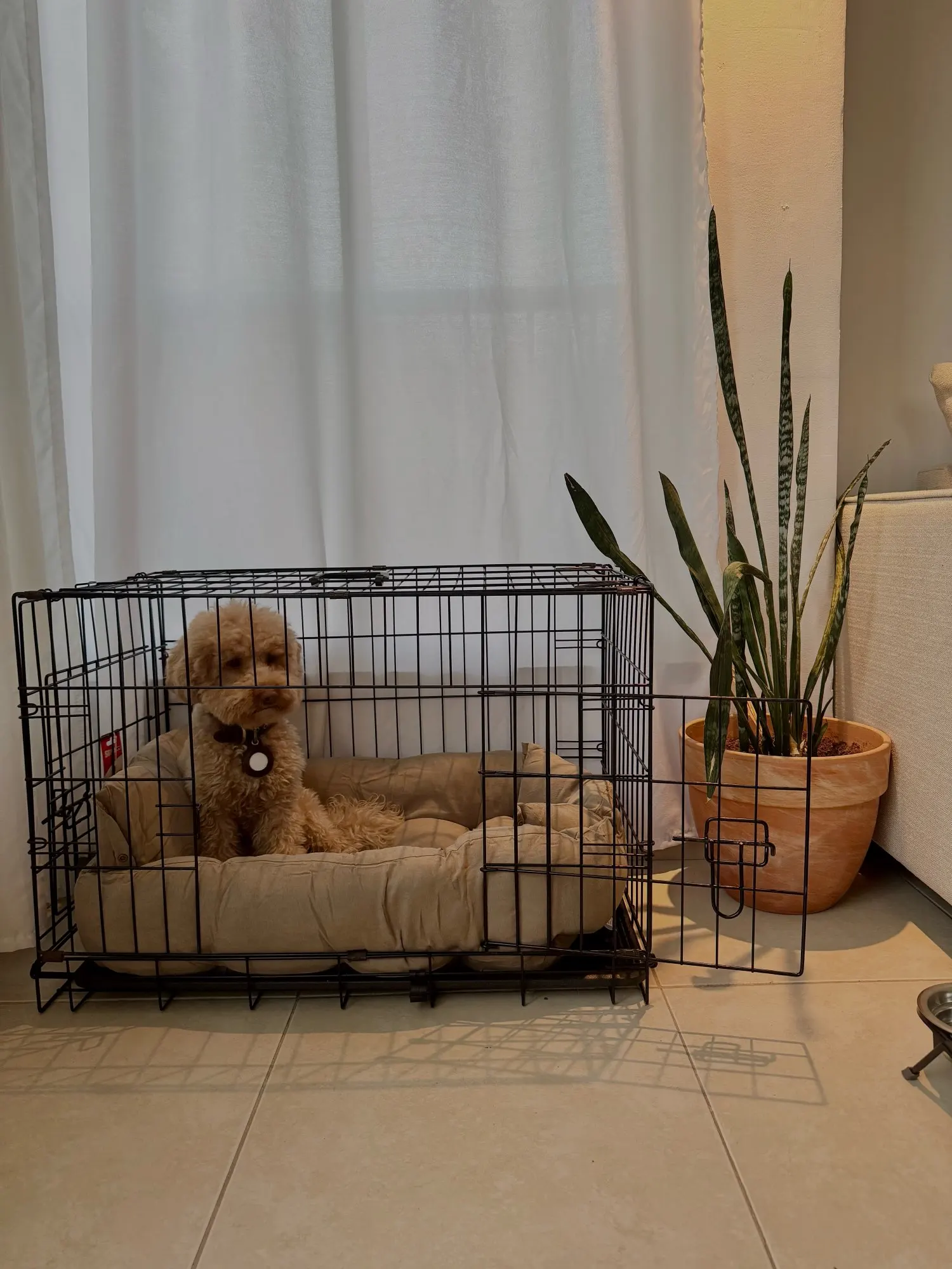 Multifunction Dog Bed Mat 3 IN 1 Dogs Cat Sleeping Bed Sofa Warm Winter Puppy Kitten Nest Kennel Soft Pet Cushion For Dogs Cats photo review