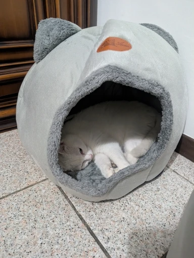 Cozy Cotton Cat Cave: Ultimate Winter Pet Bed Retreat photo review
