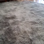 Plush Velvet Carpet for Cozy Living Spaces – Non-Slip Softness photo review