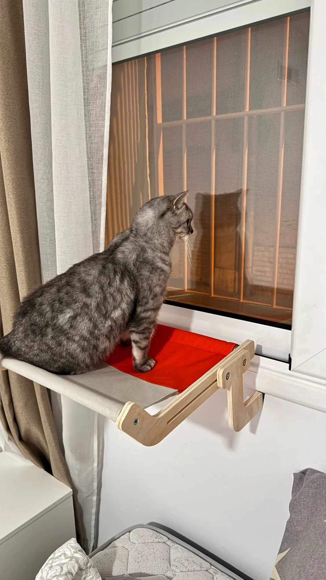 Cozy Cat Hammock with Window View & Wooden Stand photo review