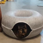 Cozy Felt Donut Cat Bed & Tunnel - Interactive Play Haven photo review