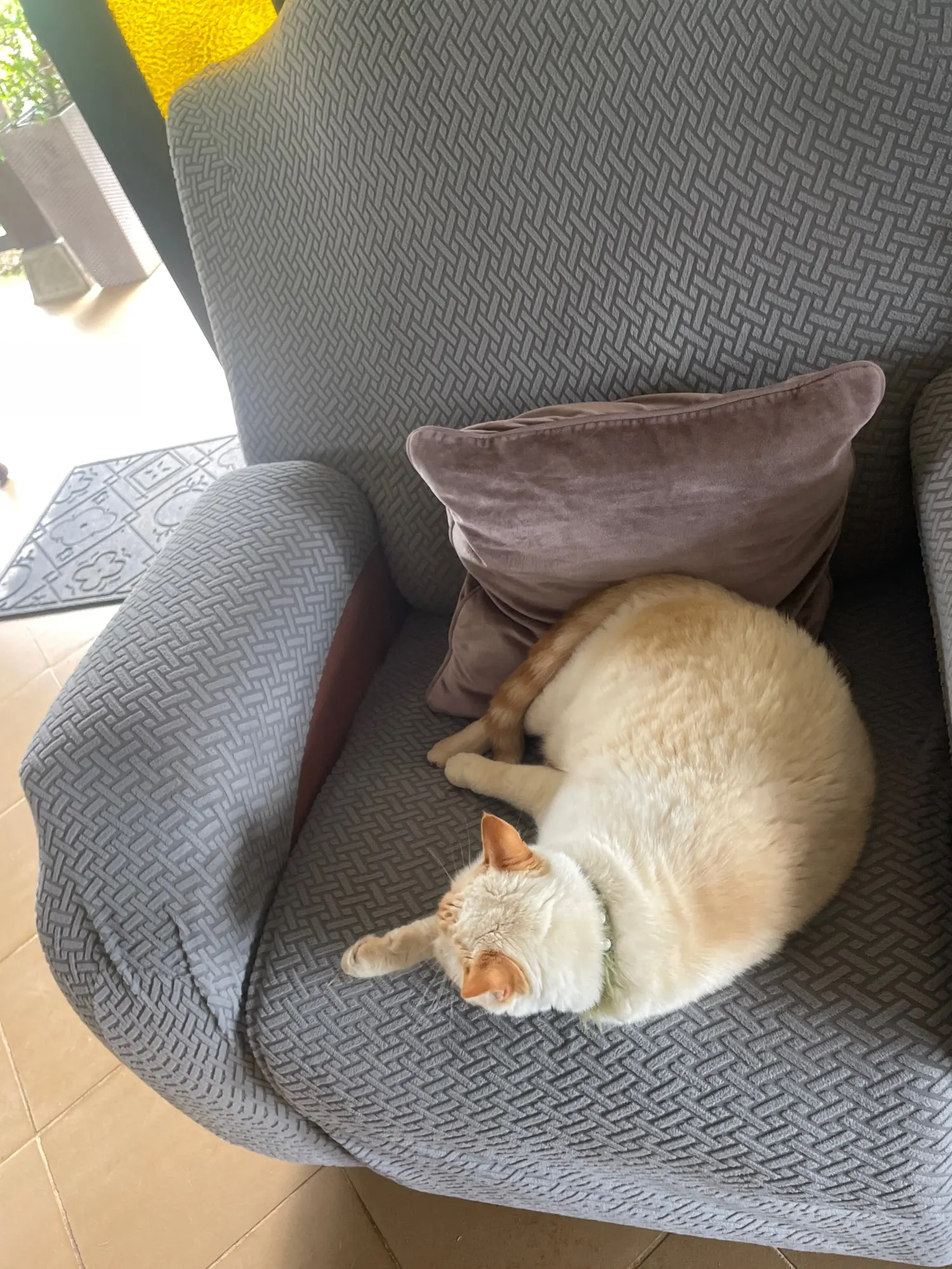 Premium Jacquard Recliner Sofa Covers - Non-Slip Comfort photo review