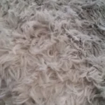 Plush Velvet Carpet for Cozy Living Spaces – Non-Slip Softness photo review