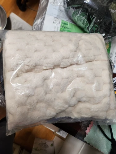 Cozy Cream Pineapple Turtle Plush Pillowcase for Home Decor photo review