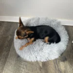 Cozy Plush Cat Bed for Ultimate Warmth & Comfort photo review